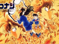 /album/th%c6%b0-vi%e1%bb%87n-%e1%ba%a3nh/a122-jpg/